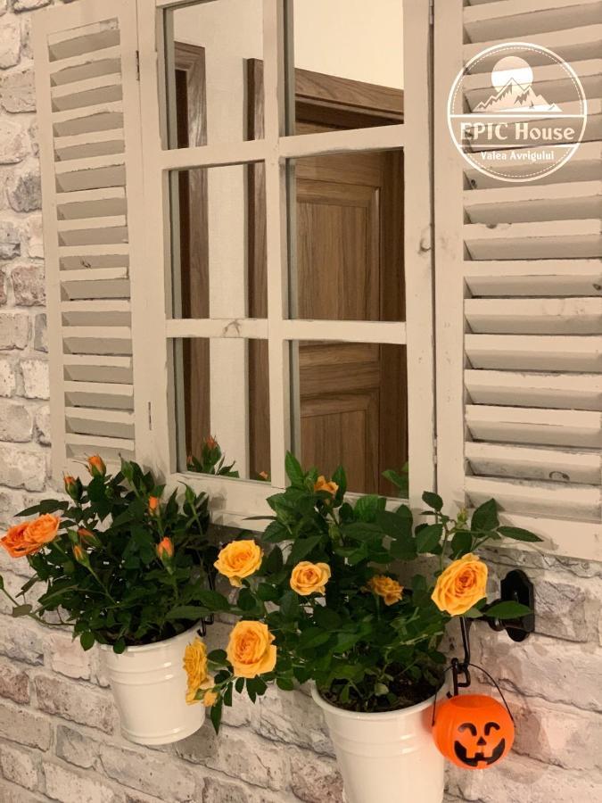 Villa Epic House Valea Avrigului Exterior foto