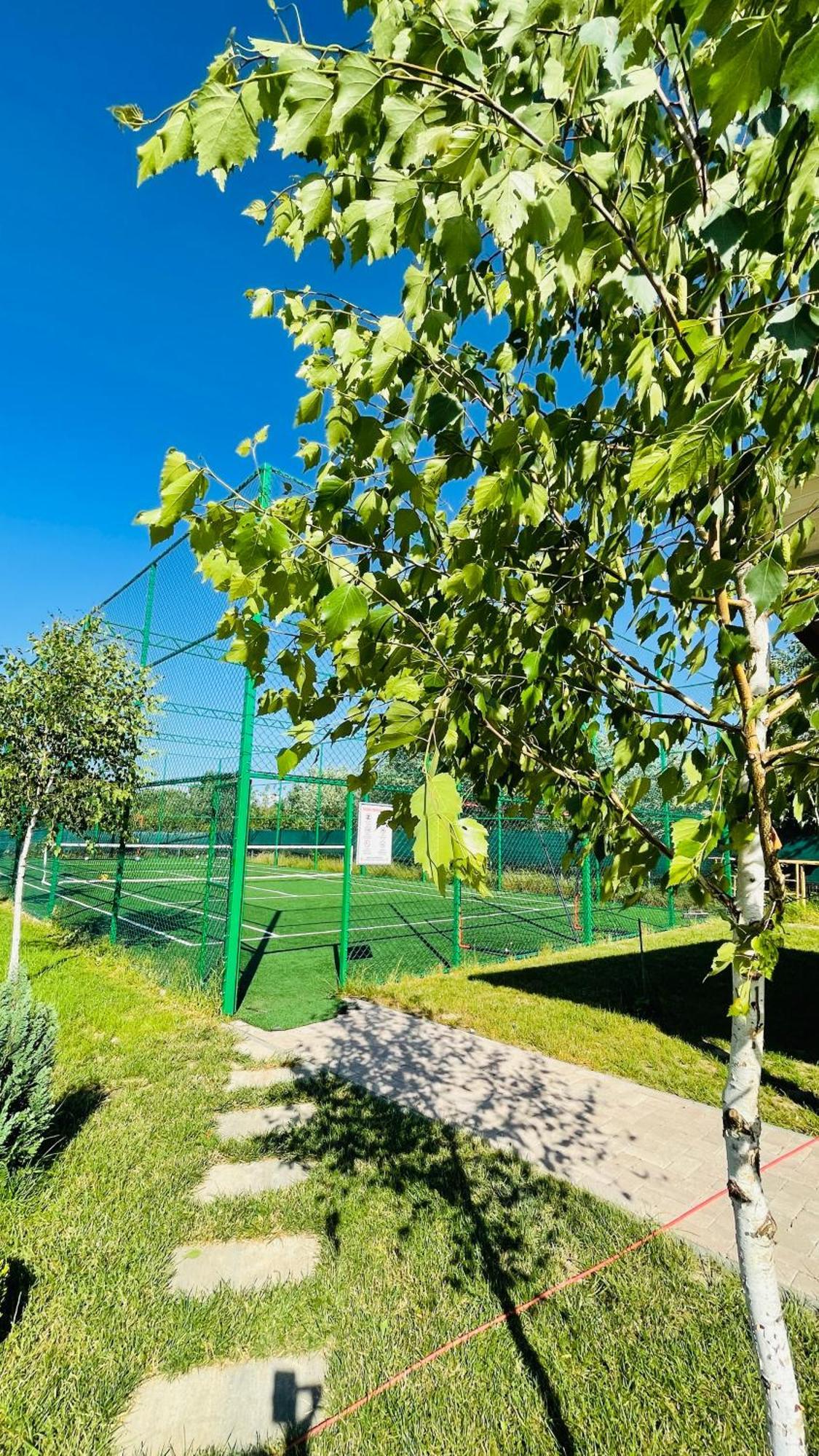 Villa Epic House Valea Avrigului Exterior foto