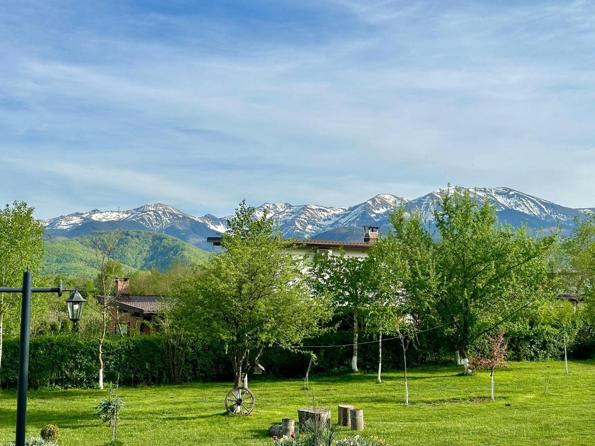 Villa Epic House Valea Avrigului Exterior foto